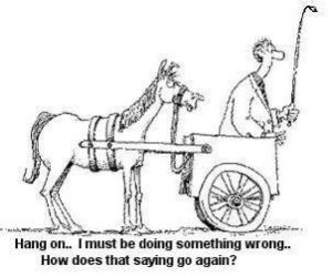 ISKCON on a Mission Drift